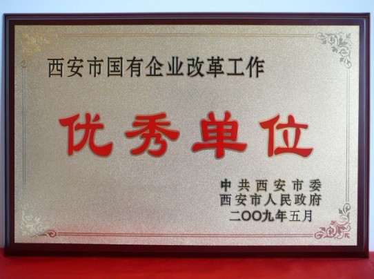 2009年5月，被西安市委、市政府評(píng)為西安市國(guó)企業(yè)改革工作優(yōu)秀單位