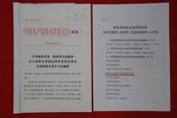 2009年2月，被陜西省委、省政府授予陜西省國(guó)有企業(yè)改革攻堅(jiān)先進(jìn)集體